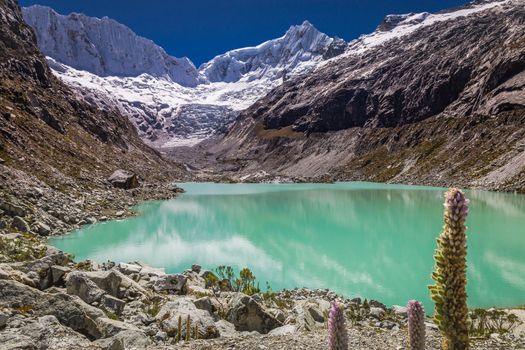 Idyllic laguna Llaca in Cordillera Blanca, snowcapped Andes, Ancash, Peru