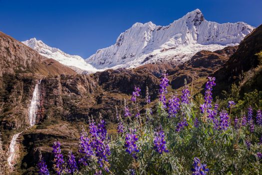 Waterfall and Huascaran Mountain massif in Cordillera Blanca, snowcapped Andes, Ancash, Peru, South America