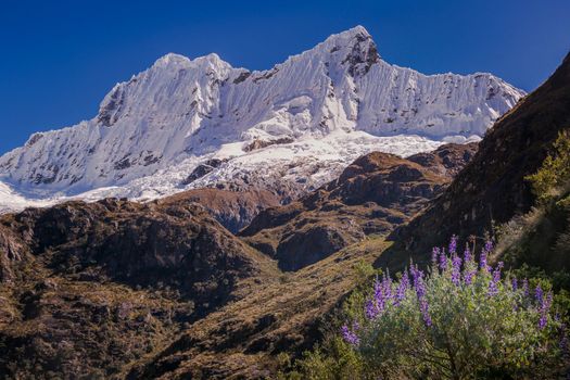 Huascaran Mountain massif in Cordillera Blanca, snowcapped Andes, Ancash, Peru, South America