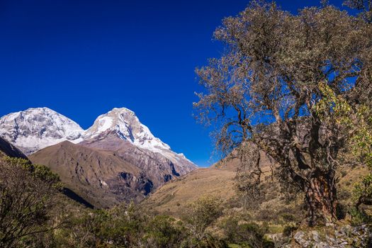 Huascaran Mountain massif in Cordillera Blanca, snowcapped Andes, Ancash, Peru, South America