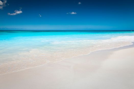 Tropical paradise, sand beach in caribbean Saona Island, Punta Cana, Dominican Republic