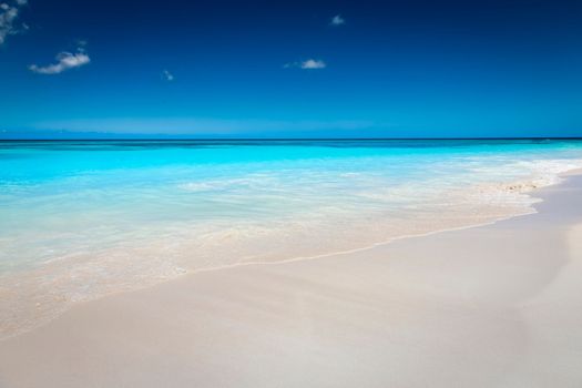 Tropical paradise, sand beach in caribbean Saona Island, Punta Cana, Dominican Republic