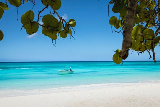 Tropical paradise, sand beach in caribbean Saona Island, Punta Cana, Dominican Republic