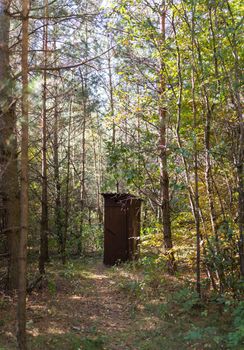 An old wooden toilet stands in the autumn forest