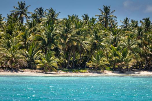 Tropical paradise, sand beach in caribbean Saona Island, Punta Cana, Dominican Republic