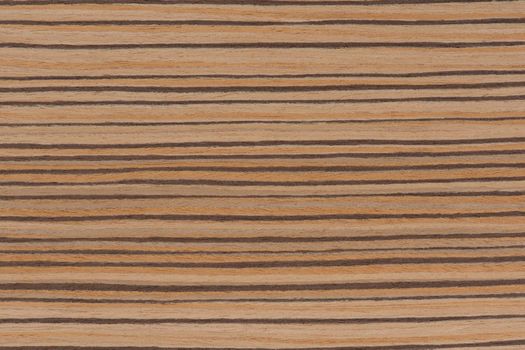 Zebra tree. Texture of brown wood with horizontal black stripes. African zebrano wood texture on macro. Photo in very high resolution