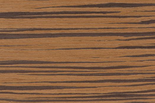 Zebra tree. Texture of brown wood with horizontal black stripes. African zebrano wood texture on macro. Photo in very high resolution