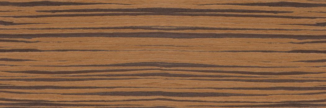 Zebra tree. Texture of brown wood with horizontal black stripes. African zebrano wood texture on macro. Photo in very high resolution