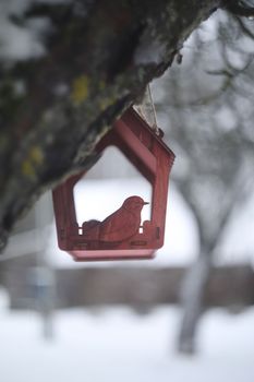 Close-up of a bird feeder on a tree under the snow in the forest
