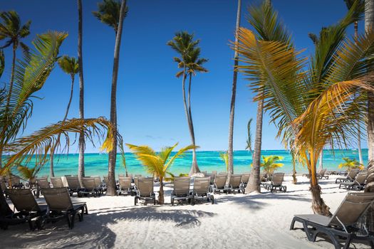 Bavaro Tropical beach in Punta Cana at sunny day, Caribbean sea, Dominican Republic