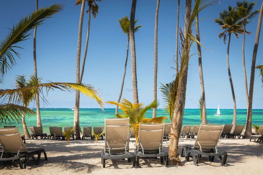 Bavaro Tropical beach in Punta Cana at sunny day, Caribbean sea, Dominican Republic