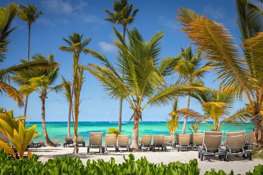 Bavaro Tropical beach in Punta Cana at sunny day, Caribbean sea, Dominican Republic
