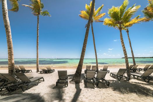 Bavaro Tropical beach in Punta Cana at sunny day, Caribbean sea, Dominican Republic