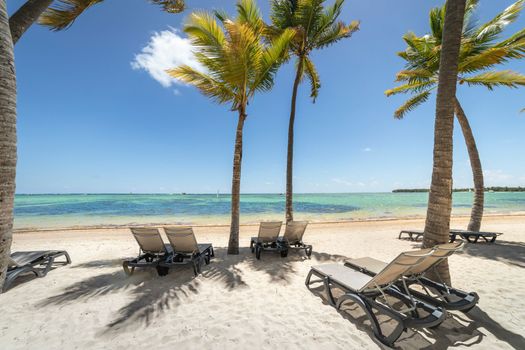 Bavaro Tropical beach in Punta Cana at sunny day, Caribbean sea, Dominican Republic