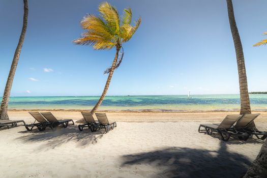 Bavaro Tropical beach in Punta Cana at sunny day, Caribbean sea, Dominican Republic