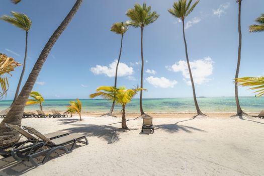 Bavaro Tropical beach in Punta Cana at sunny day, Caribbean sea, Dominican Republic
