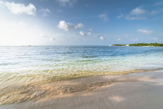 Palm trees and Tropical idyllic and secluded beach in Punta Cana, turquoise caribbean sea