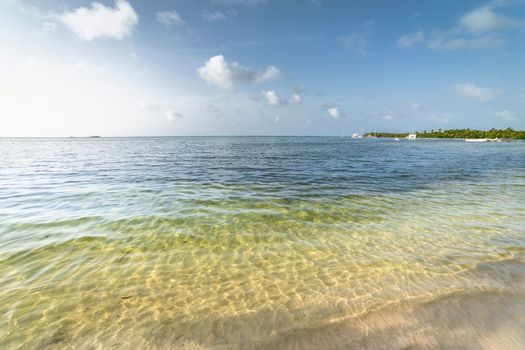 Palm trees and Tropical idyllic and secluded beach in Punta Cana, turquoise caribbean sea