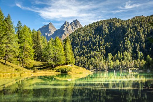 Alpine Lake Palpuogna at Albula Pass in Graubunden swiss alps, Grisons, Switzerland