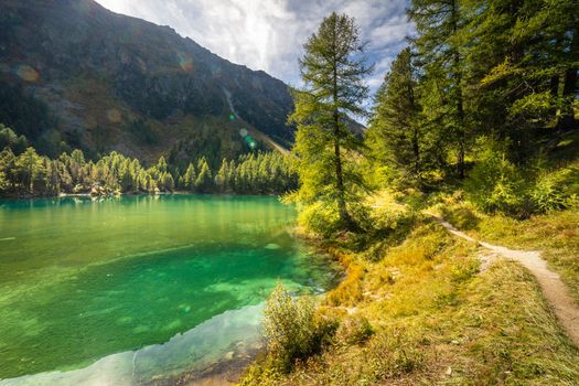 Alpine Lake Palpuogna at Albula Pass in Graubunden swiss alps, Grisons, Switzerland