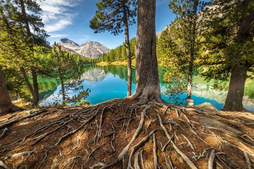 Alpine Lake Palpuogna at Albula Pass in Graubunden swiss alps, Grisons, Switzerland