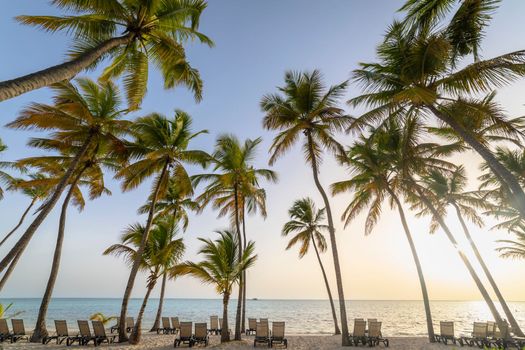 Bavaro Tropical beach in Punta Cana at sunny day, Caribbean sea, Dominican Republic