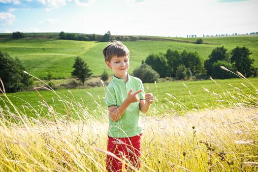 Cute little boy with spikelet in field, space for text. Child spending time in nature. Healthy lifestyle with kids on fresh air.