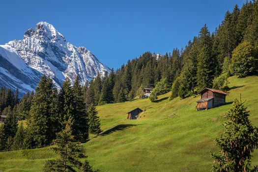 View of Snowcapped Bernese Swiss alps and alpine farms, Switzerland