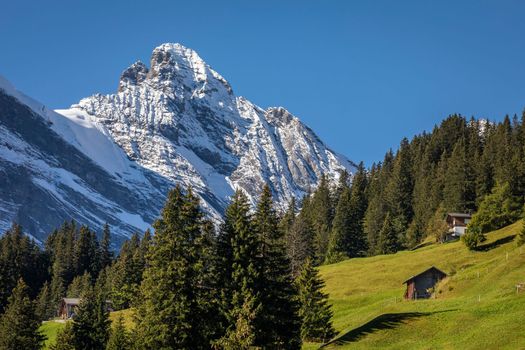 View of Snowcapped Bernese Swiss alps and alpine farms, Switzerland