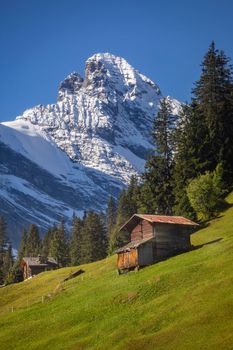 View of Snowcapped Bernese Swiss alps and alpine farms, Switzerland