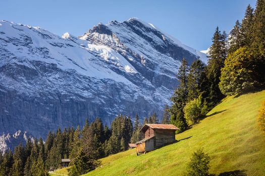 View of Snowcapped Bernese Swiss alps and alpine farms, Switzerland