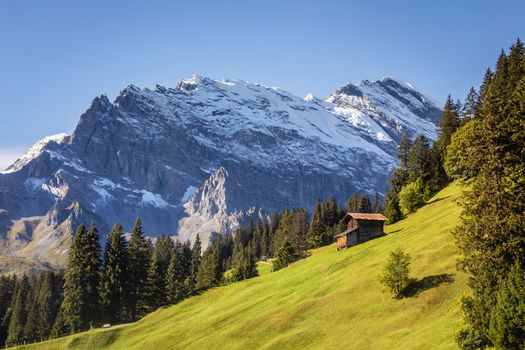 View of Snowcapped Bernese Swiss alps and alpine farms, Switzerland