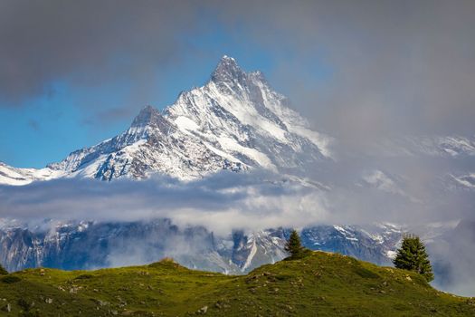 Misty Mountain above Grindelwald valley, Snowcapped Bernese Swiss alps at sunset, Switzerland