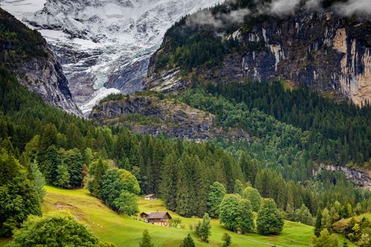 Idyllic landscape of Grindelwald glacier in Bernese Oberland at springtime , Swiss Alps, Switzerland