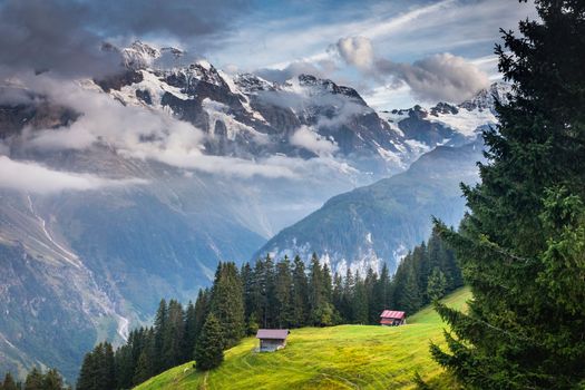 View of Snowcapped Bernese Swiss alps and alpine farms, Switzerland