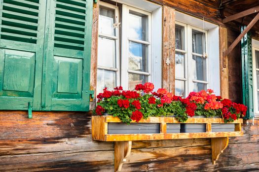 Colorful flowers in rustic balcony at springtime with window, Interlaken, Swiss alps