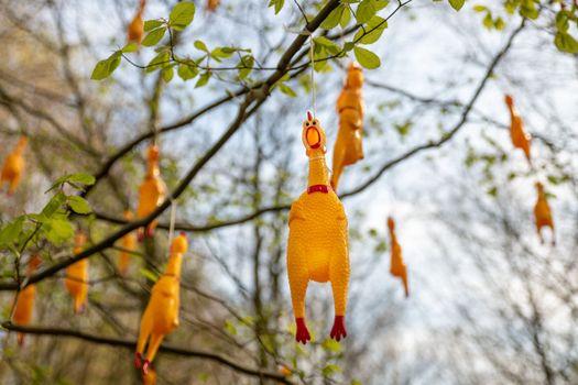 Hanging fake chicken on the trees