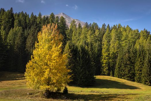 Panoramic view of Dramatic landscape, swiss alps in upper Engadine, Graubunden, Switzerland