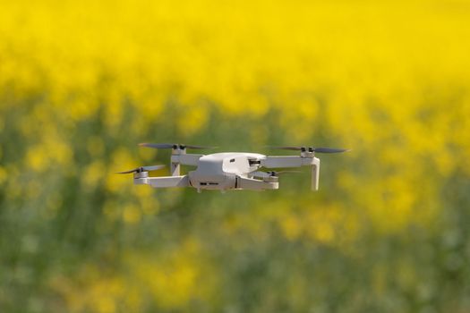IInspection drone in Rapeseed field in bloom