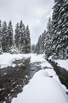 Turbulent river rapids in pictoresque forest during winter. Magical Landscape