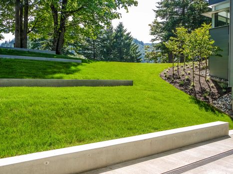 Nice green lawn on the slope beside a building.