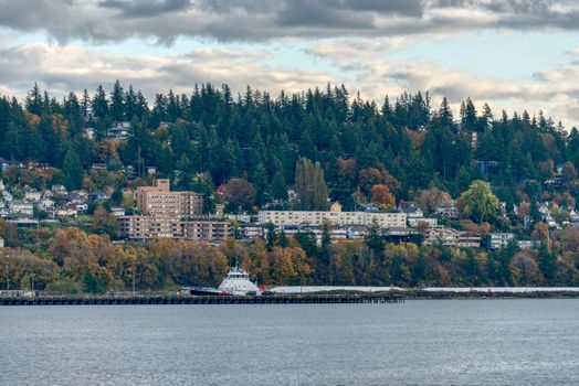 Beautiful view of small city on the autumn season in North America. Beautiful view over ocean harbor on residential houses on the mountain