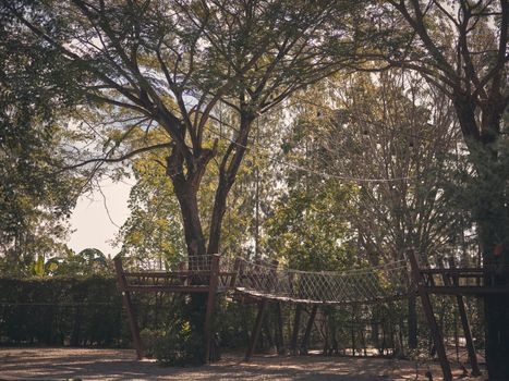 Wood bridge in the big tree . copy space for text 