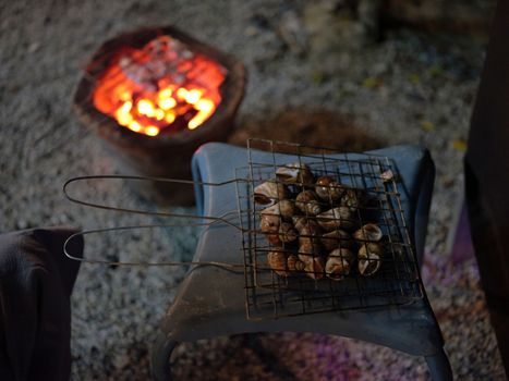 Sweet clams grilled  in steel grate with a charcoal grill. 