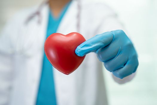 Doctor holding a red heart in hospital ward, healthy strong medical concept.