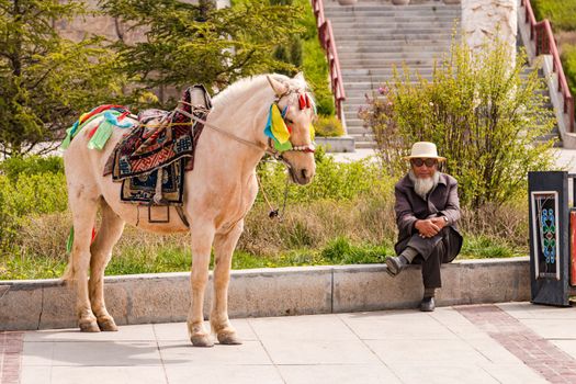 A man with a beard and a hat next to a decorated horse in sunshine at Ta'er Kumbum Champa Ling Monastery near Xining, China