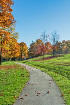 Pathway covered with maple leaves in the park. Sunny day in the park on autumn season in Cariboo Park, Burnaby, BC, Canada