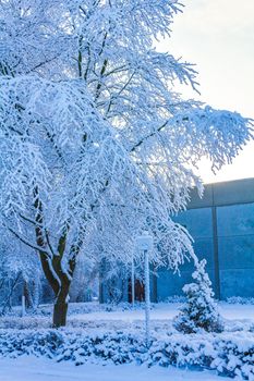 Amazing beautiful snowy winter snow and ice landscape panorama view with trees blue sky and town in Leherheide Bremerhaven Bremen Germany.