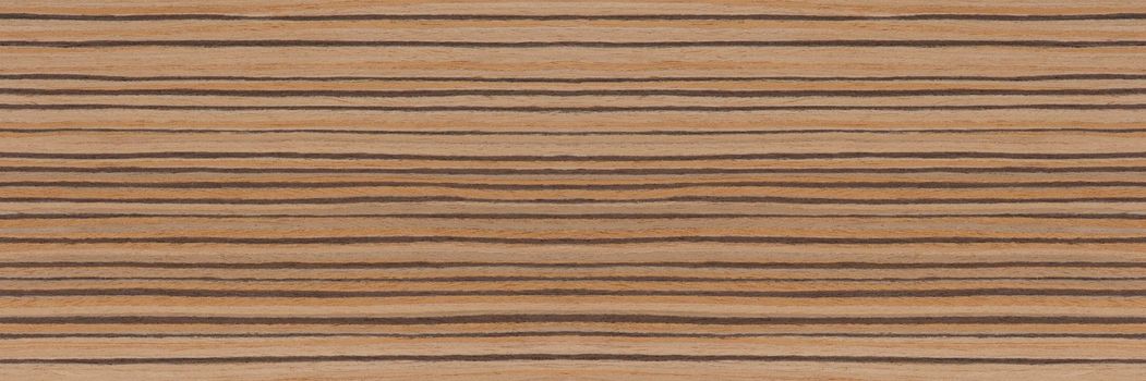 Zebra tree. Texture of brown wood with horizontal black stripes. African zebrano wood texture on macro. Photo in very high resolution