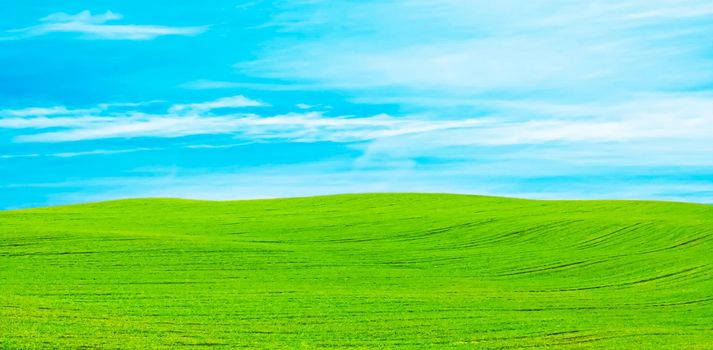Green field and blue sky with clouds, beautiful meadow as nature and environmental background.